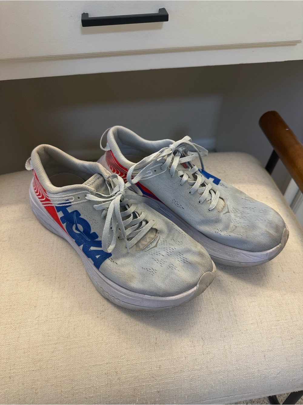 Hoka One Running Shoes